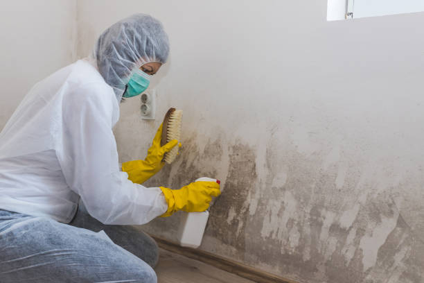 Best Crawl Space Mold Removal  in Mcrae Helena, GA