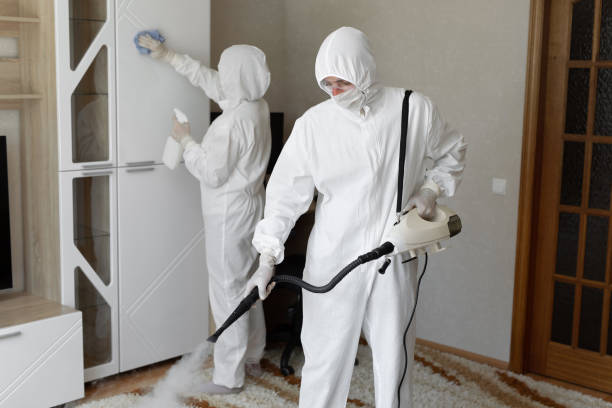 Crawl Space Mold Removal in Mcrae Helena, GA