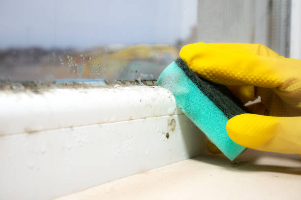 Best Residential Mold Removal  in Mcrae Helena, GA