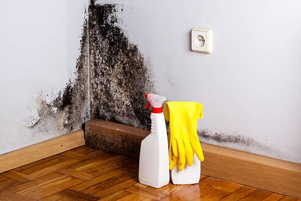 Best Residential Mold Removal  in Mcrae Helena, GA